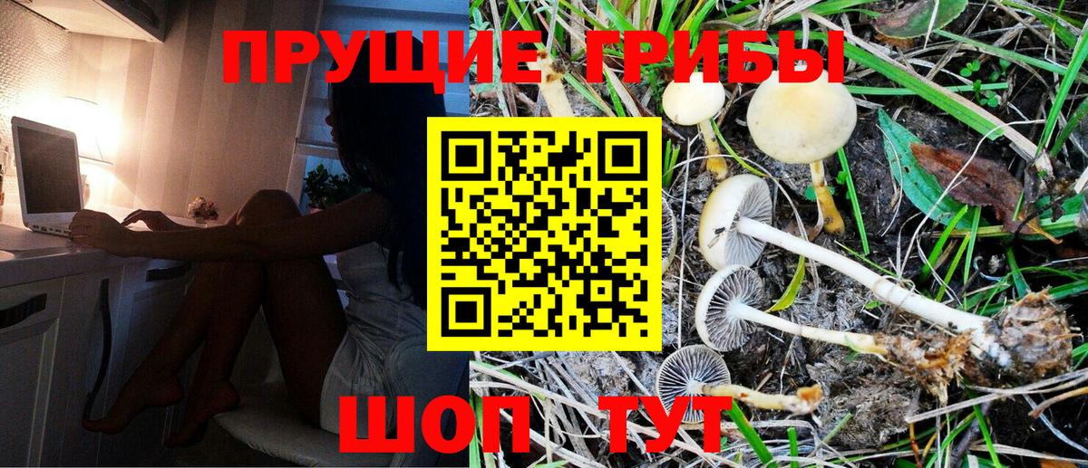 Галлюциногенные грибы MAGIC MUSHROOMS  Галлюциногенные грибы MAGIC MUSHROOMS  Вход с VPN  Ухта 
